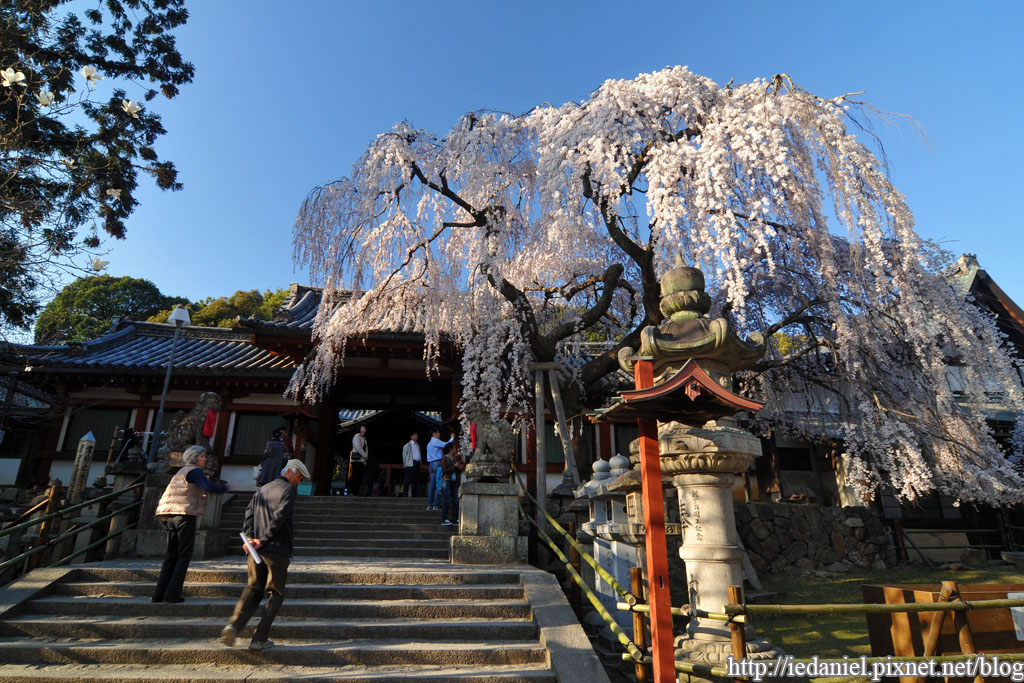 DSC_2238.jpg DSC_2238.jpg