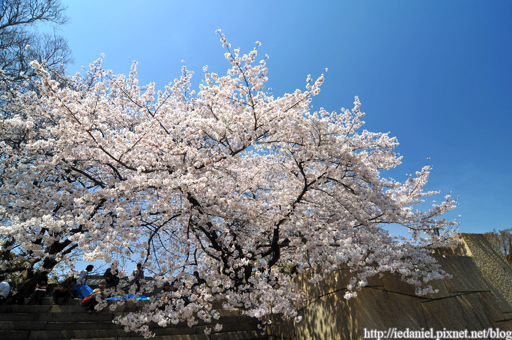 DSC_2860.jpg DSC_2860.jpg