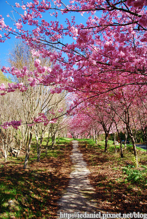 DSC_0087.jpg DSC_0087.jpg