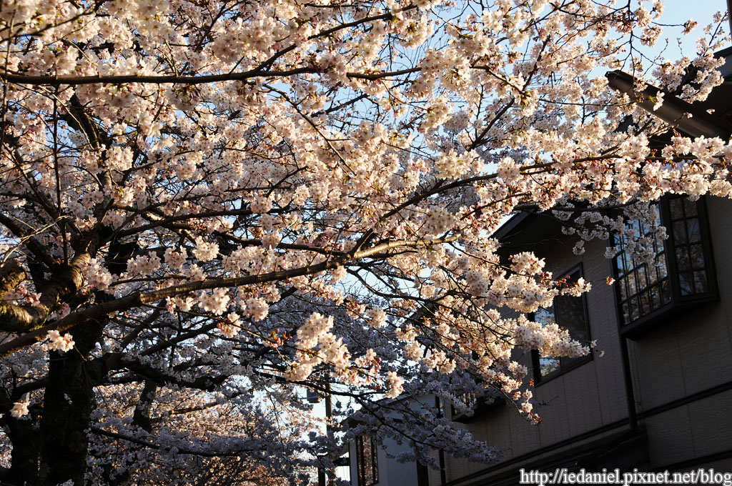 DSC_2598.jpg DSC_2598.jpg