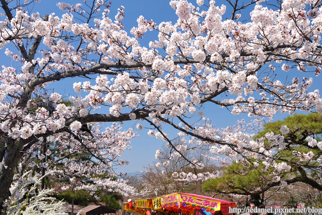 DSC_2406.jpg DSC_2406.jpg