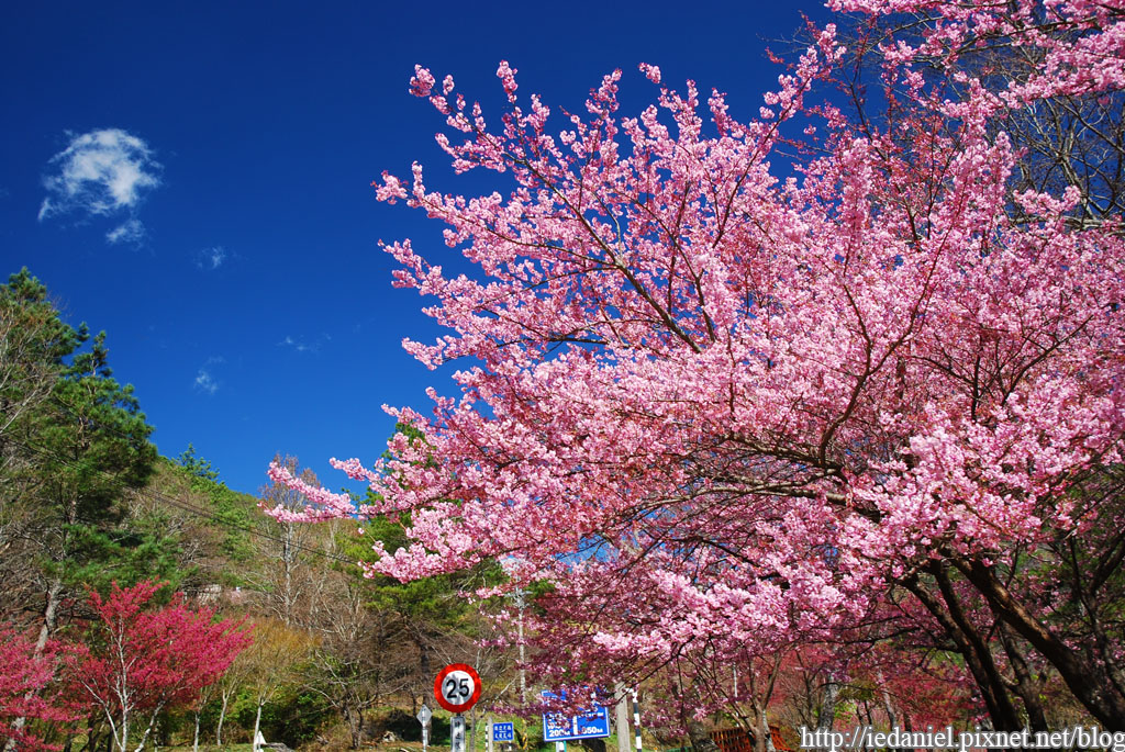 DSC_0473.jpg DSC_0473.jpg