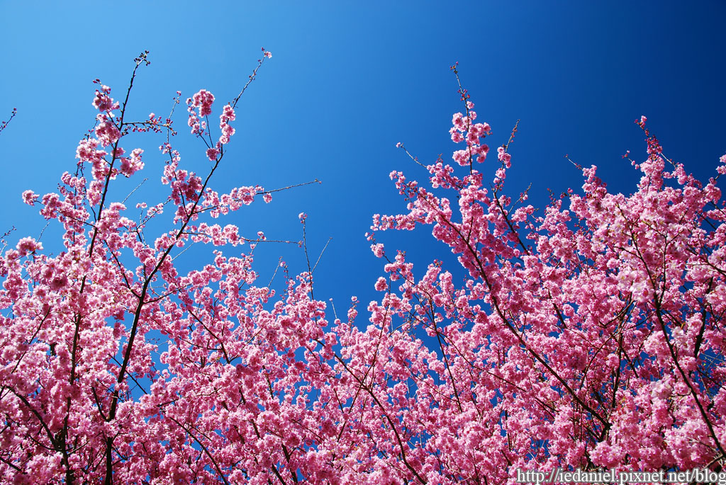 DSC_0082.jpg DSC_0082.jpg