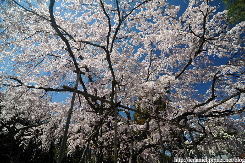 DSC_1473.jpg DSC_1473.jpg