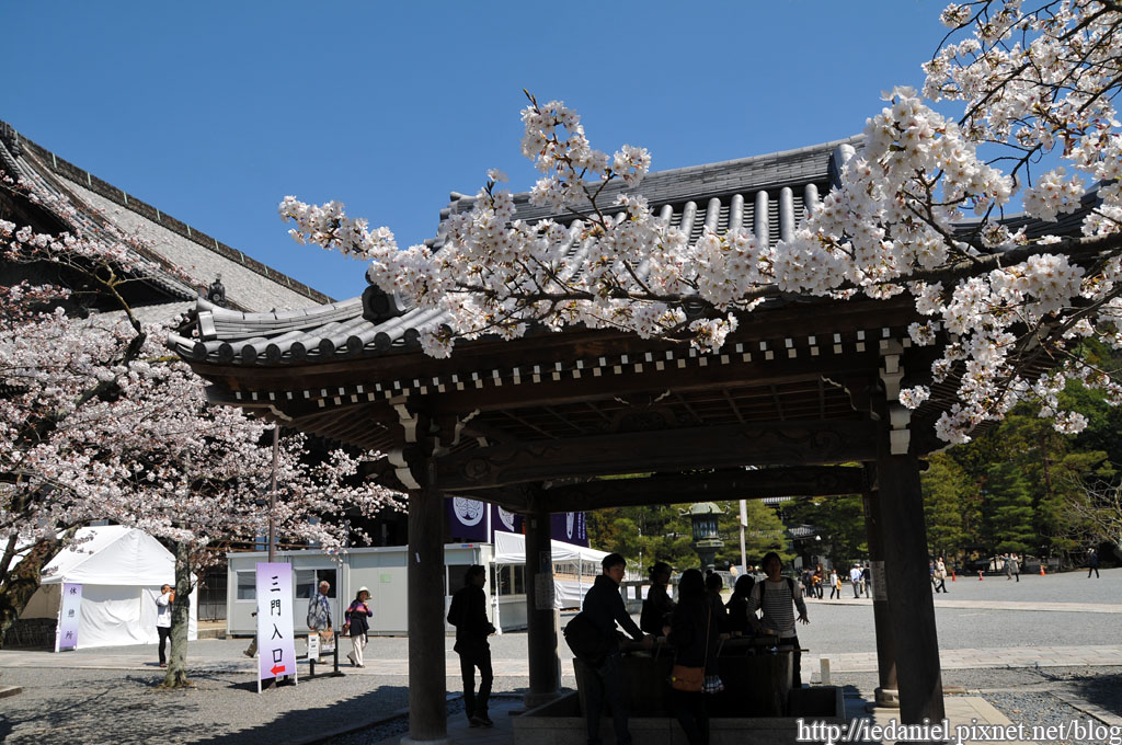 DSC_2486.jpg DSC_2486.jpg