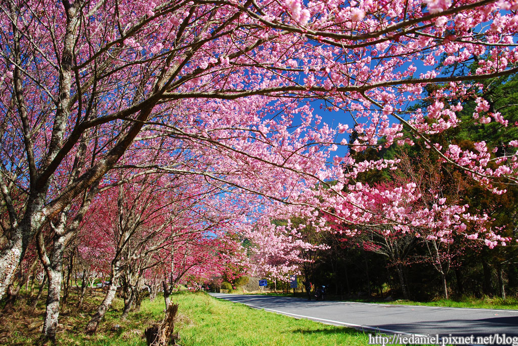 DSC_0135.jpg DSC_0135.jpg