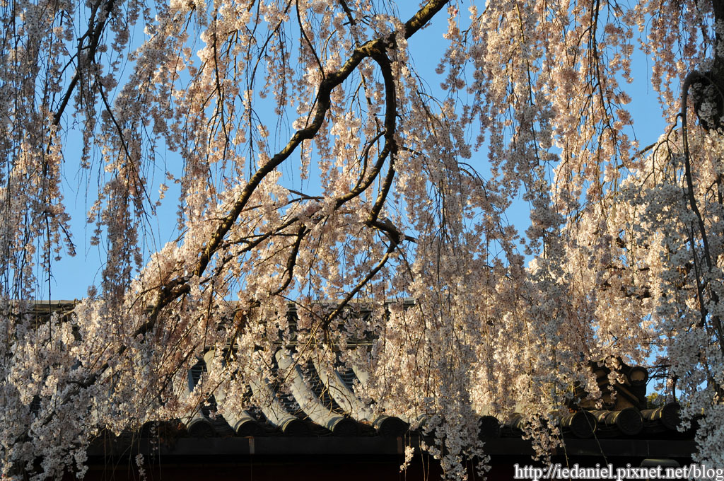 DSC_2269.jpg DSC_2269.jpg