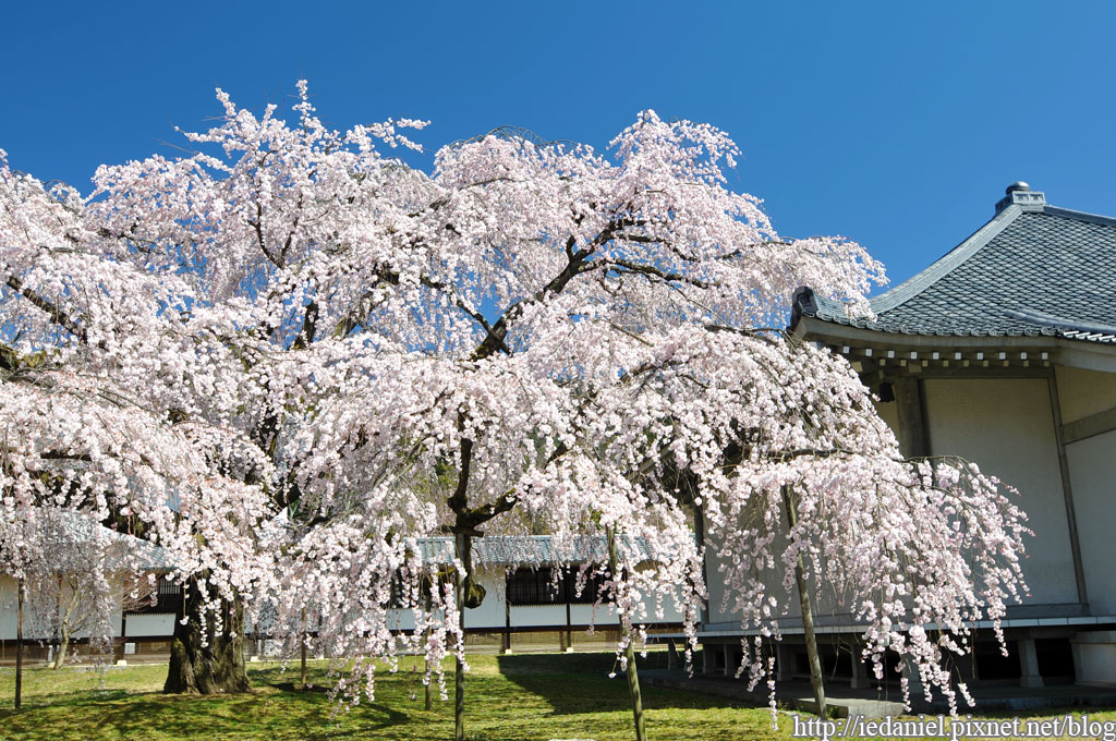 DSC_1619.jpg DSC_1619.jpg