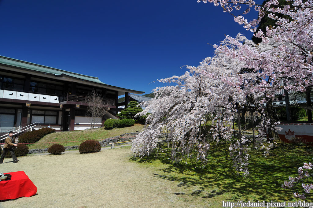 DSC_1593.jpg DSC_1593.jpg