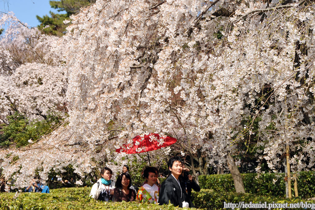 DSC_2045.jpg DSC_2045.jpg