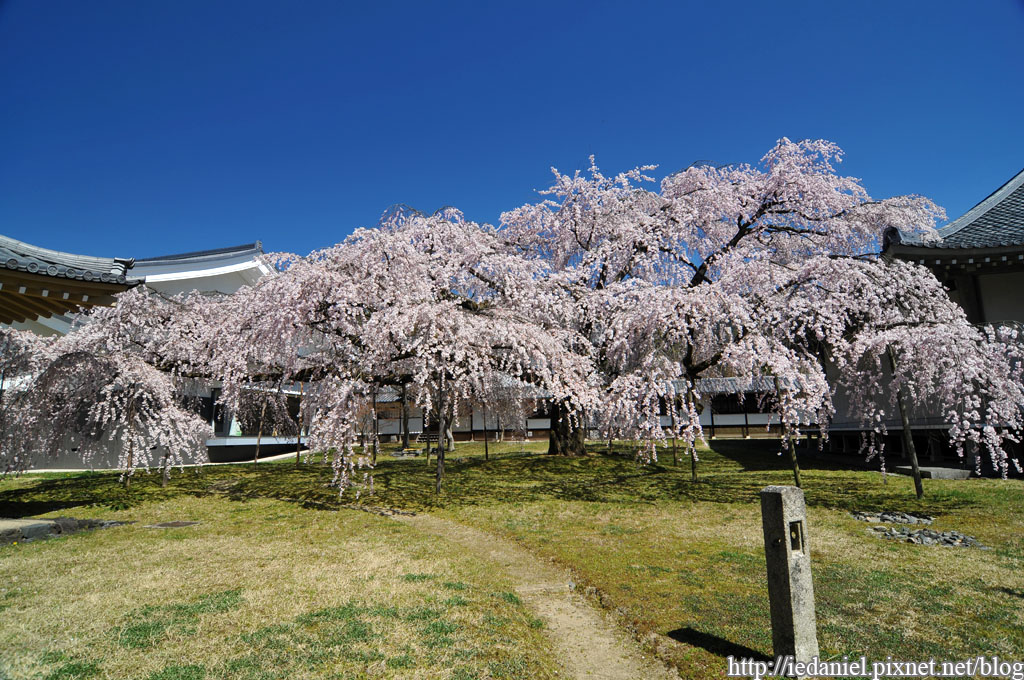 DSC_1615.jpg DSC_1615.jpg