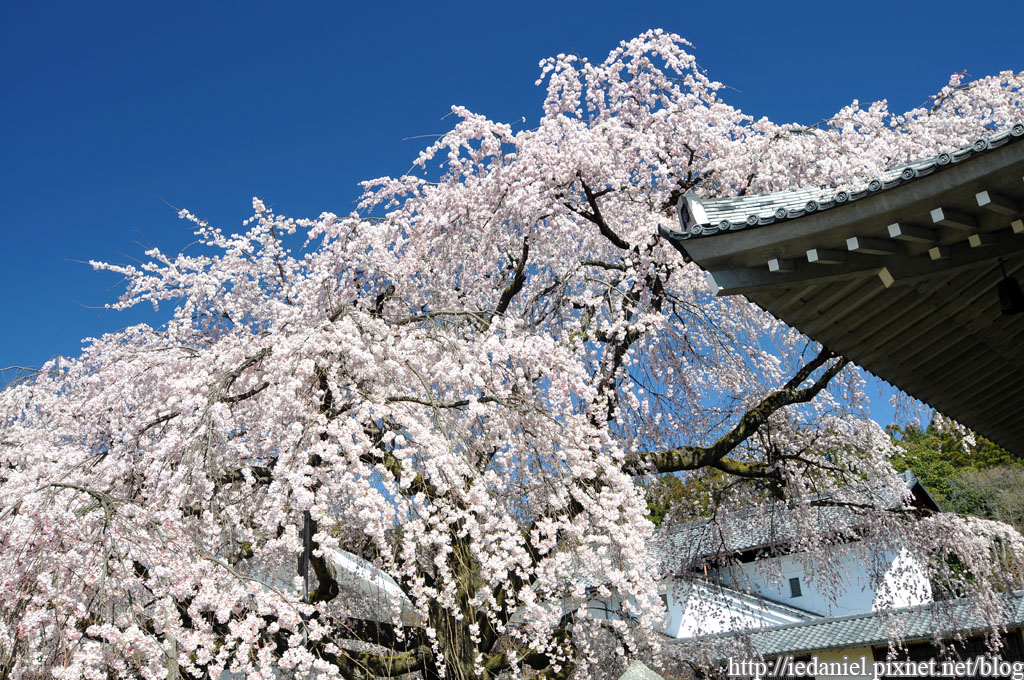 DSC_1654.jpg DSC_1654.jpg