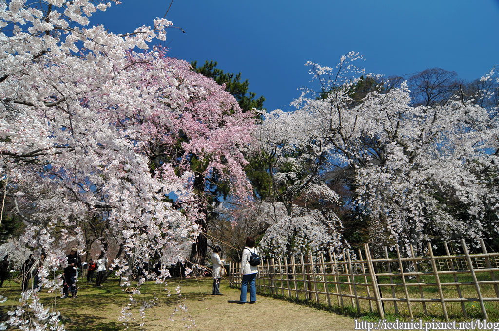 DSC_1954.jpg DSC_1954.jpg