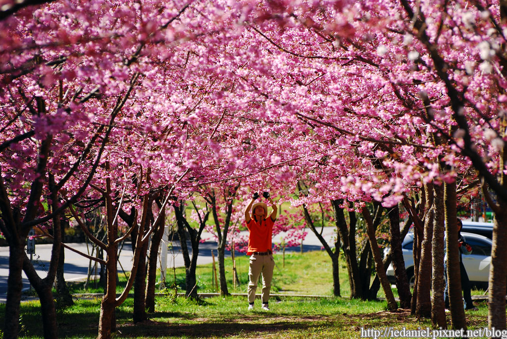 DSC_0280.jpg DSC_0280.jpg