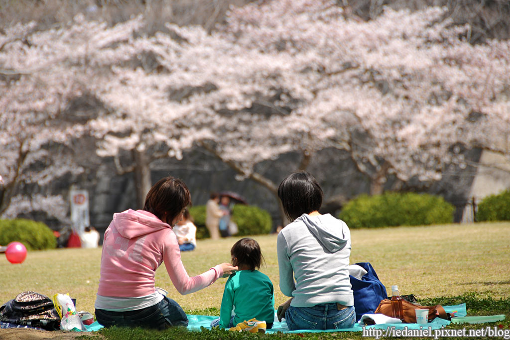 DSC_2914.jpg DSC_2914.jpg