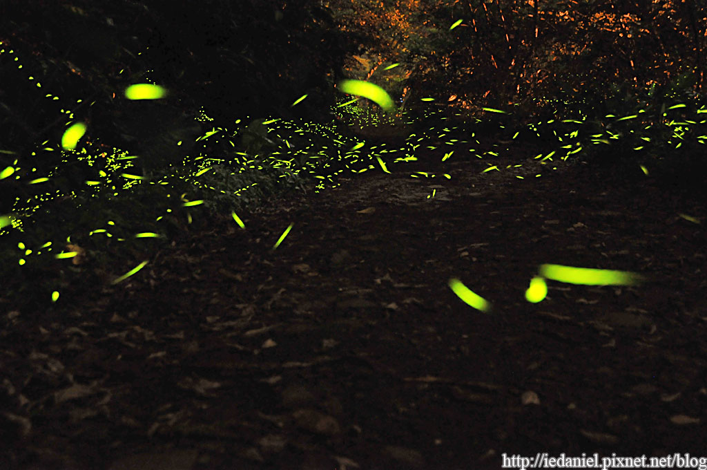 DSC_3409.jpg DSC_3409.jpg