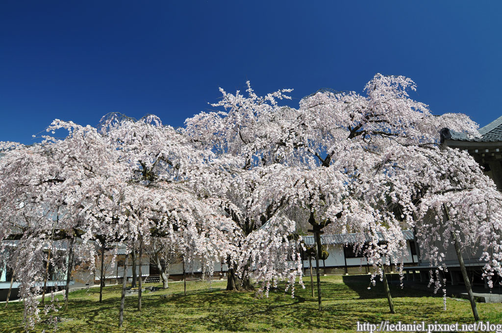 DSC_1630.jpg DSC_1630.jpg