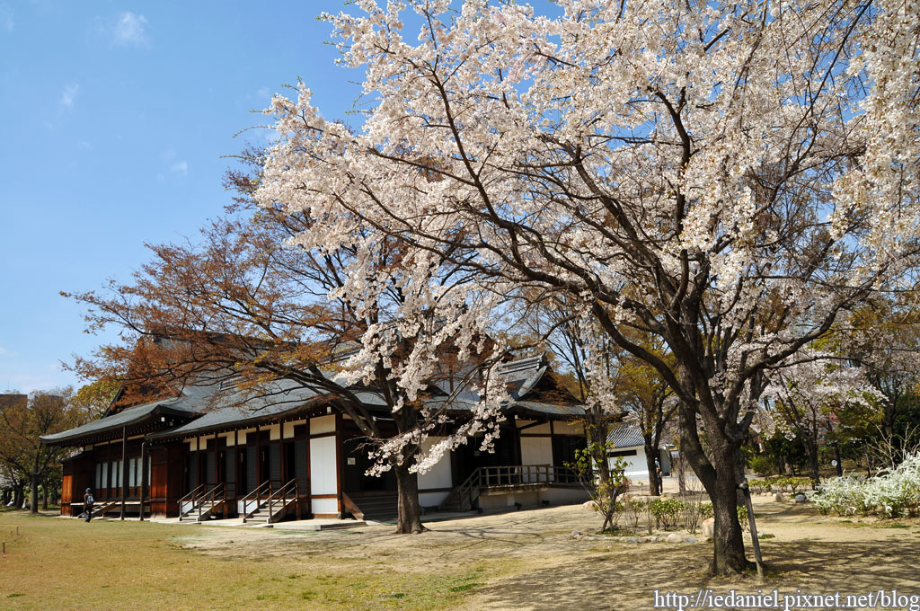 DSC_2896.jpg DSC_2896.jpg