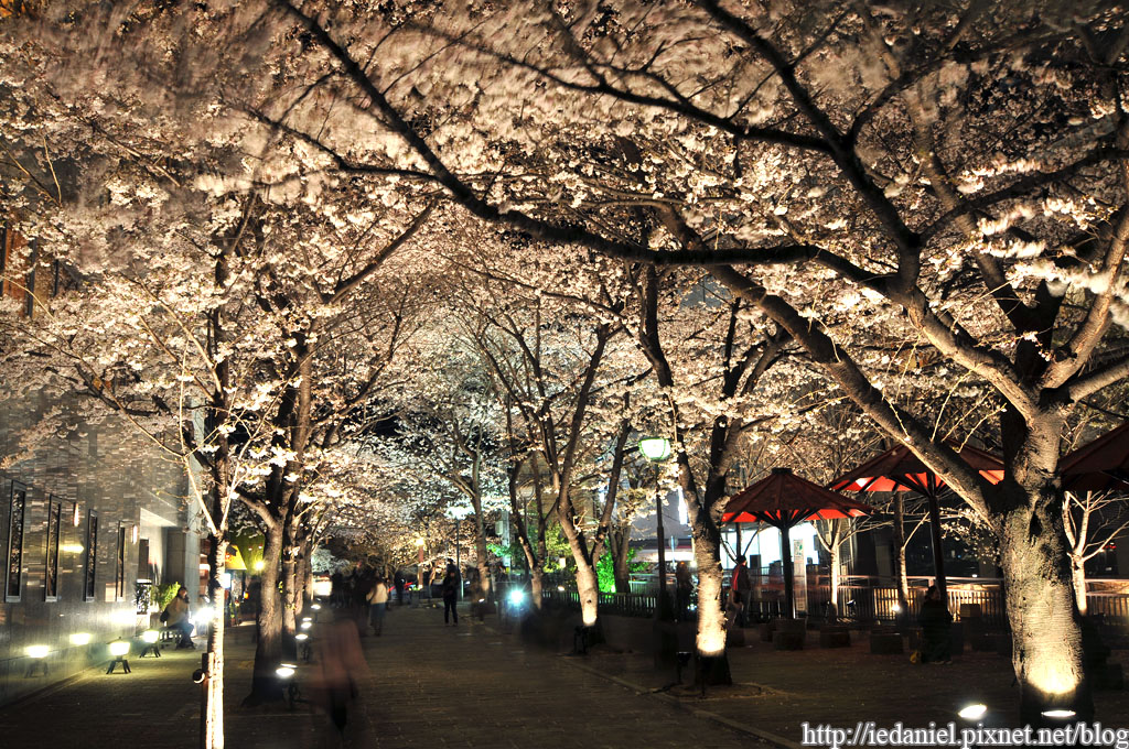 DSC_1874.jpg DSC_1874.jpg