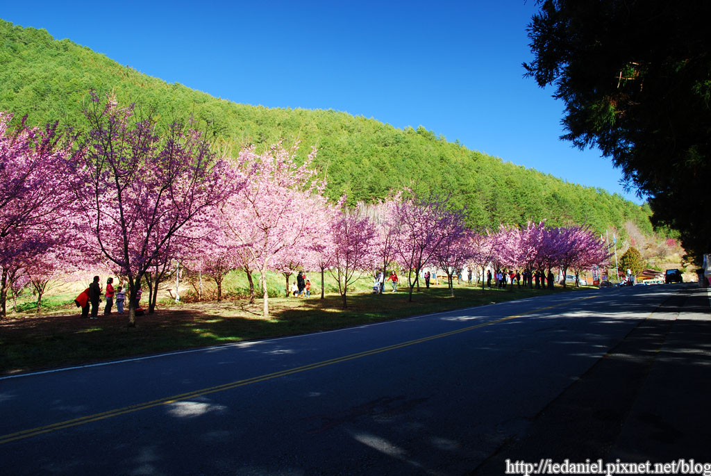 DSC_0185.jpg DSC_0185.jpg