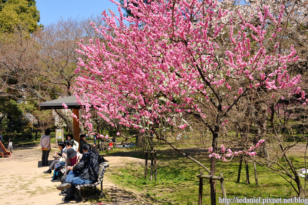 DSC_2034.jpg DSC_2034.jpg