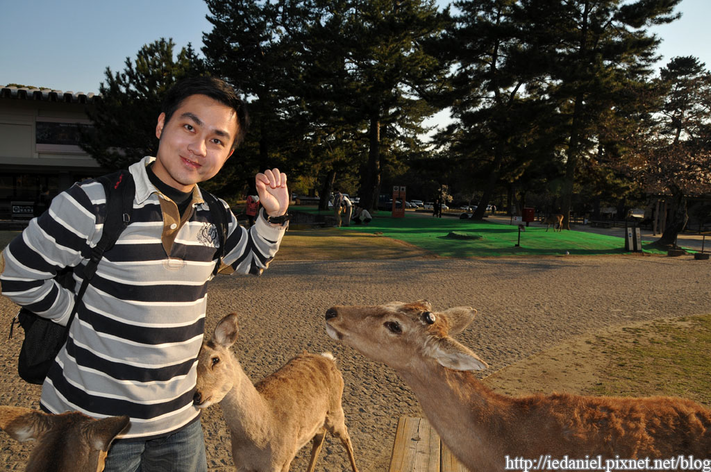 DSC_2282.jpg DSC_2282.jpg