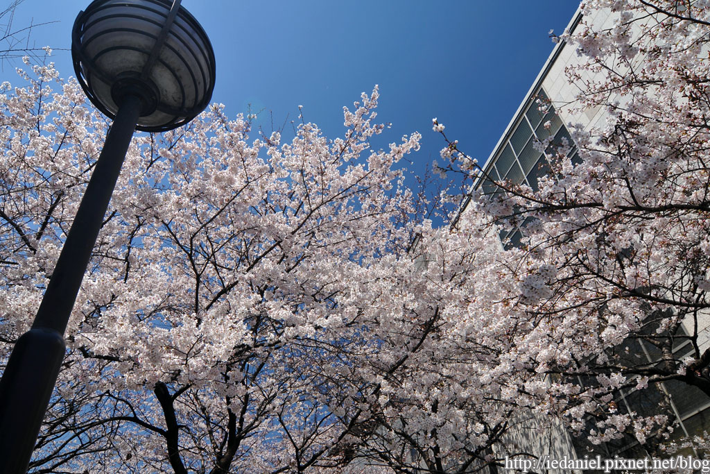 DSC_2375.jpg DSC_2375.jpg