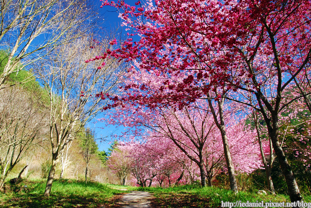 DSC_0091.jpg DSC_0091.jpg