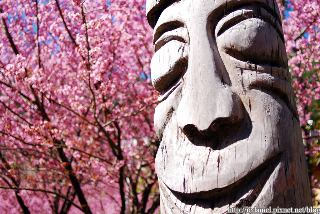 DSC_0393.jpg DSC_0393.jpg