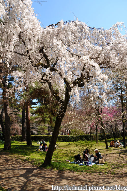 DSC_2031.jpg DSC_2031.jpg