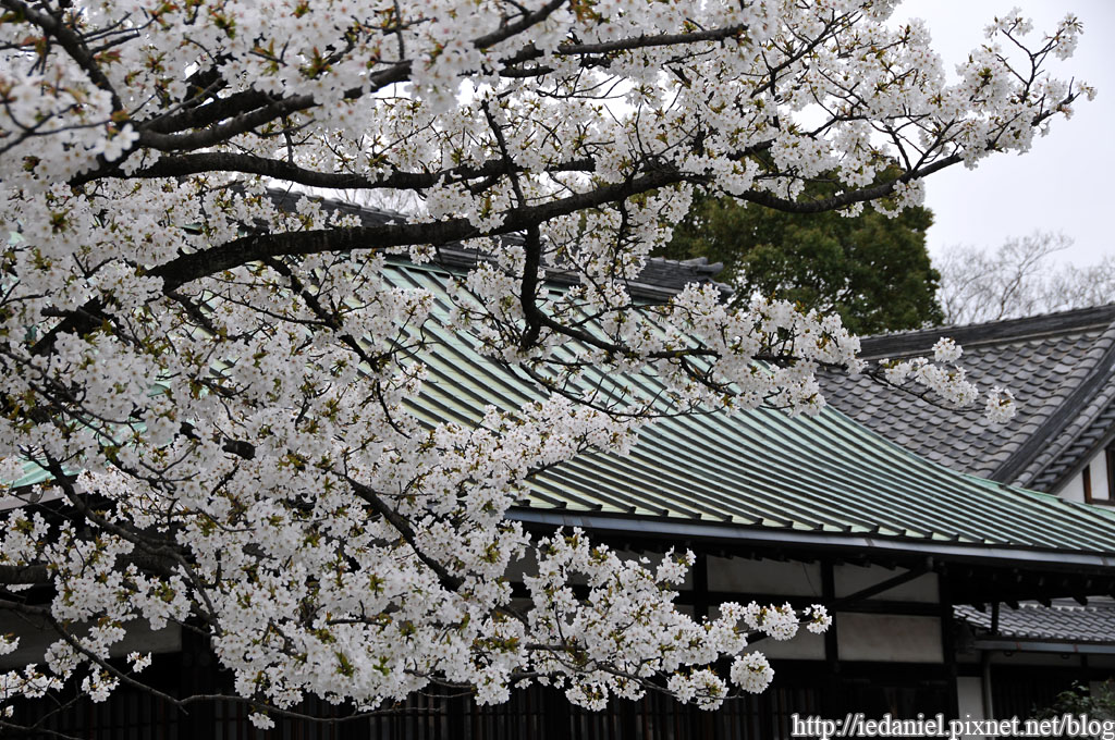 DSC_1241.jpg DSC_1241.jpg