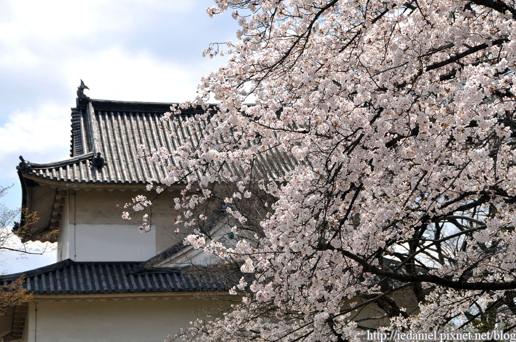 DSC_2944.jpg DSC_2944.jpg