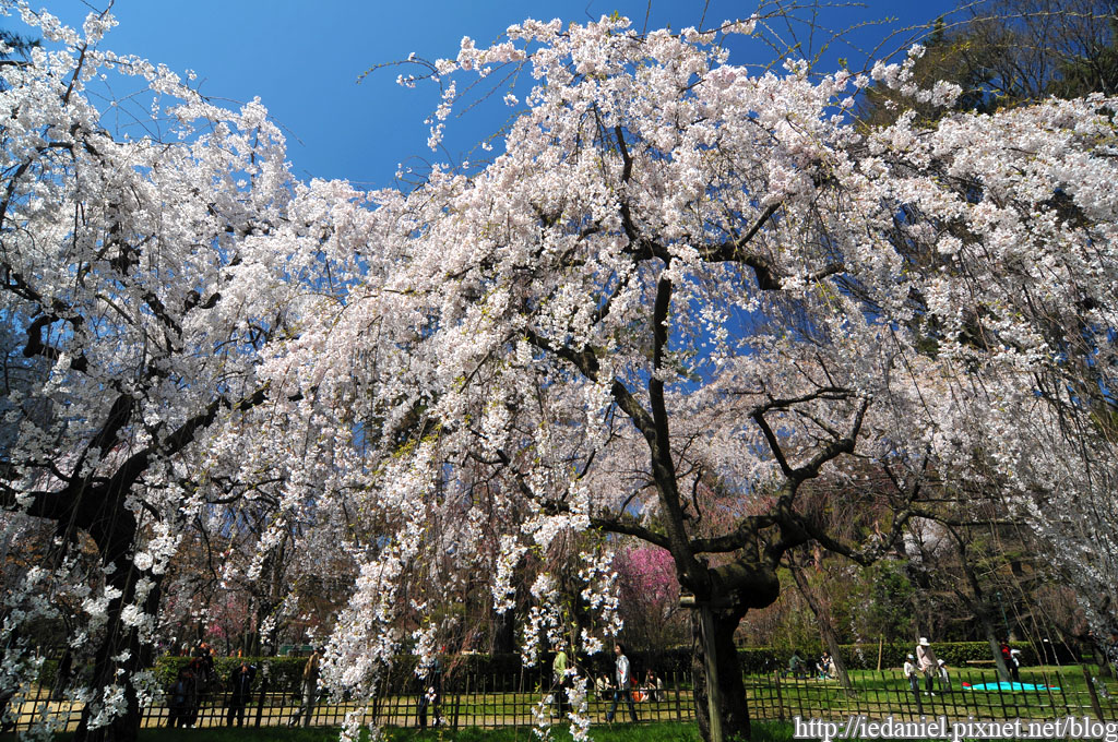 DSC_1967.jpg DSC_1967.jpg