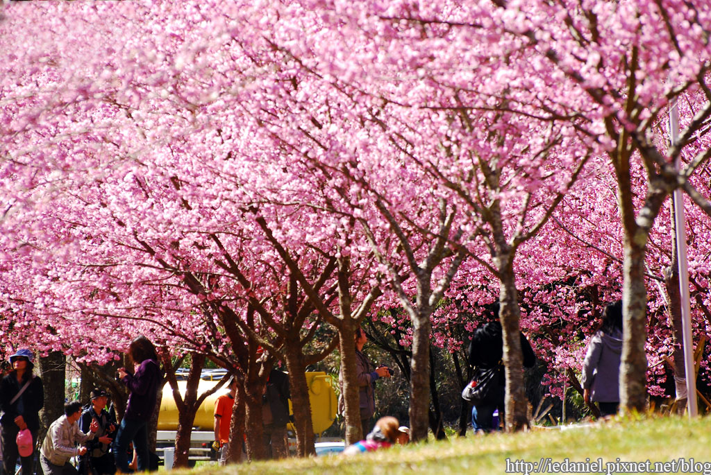 DSC_0311.jpg DSC_0311.jpg