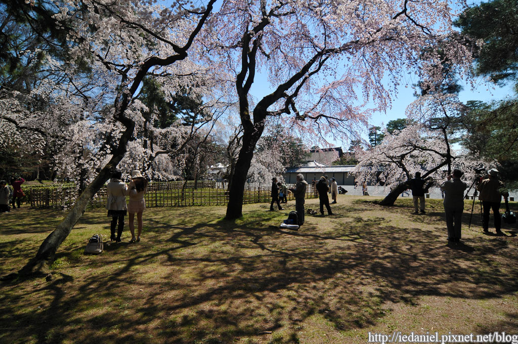 DSC_1965.jpg DSC_1965.jpg