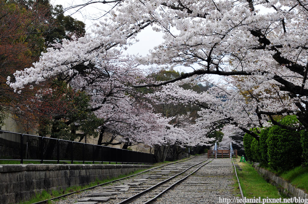 DSC_2700.jpg DSC_2700.jpg