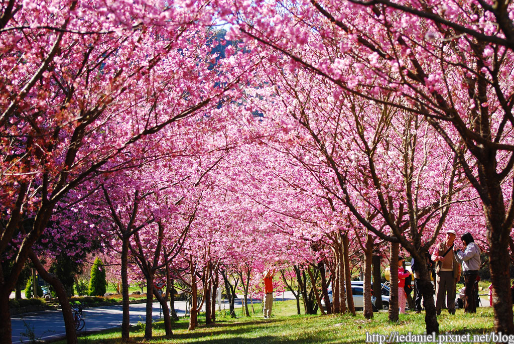 DSC_0281.jpg DSC_0281.jpg