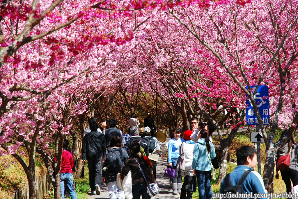 DSC_0420.jpg DSC_0420.jpg