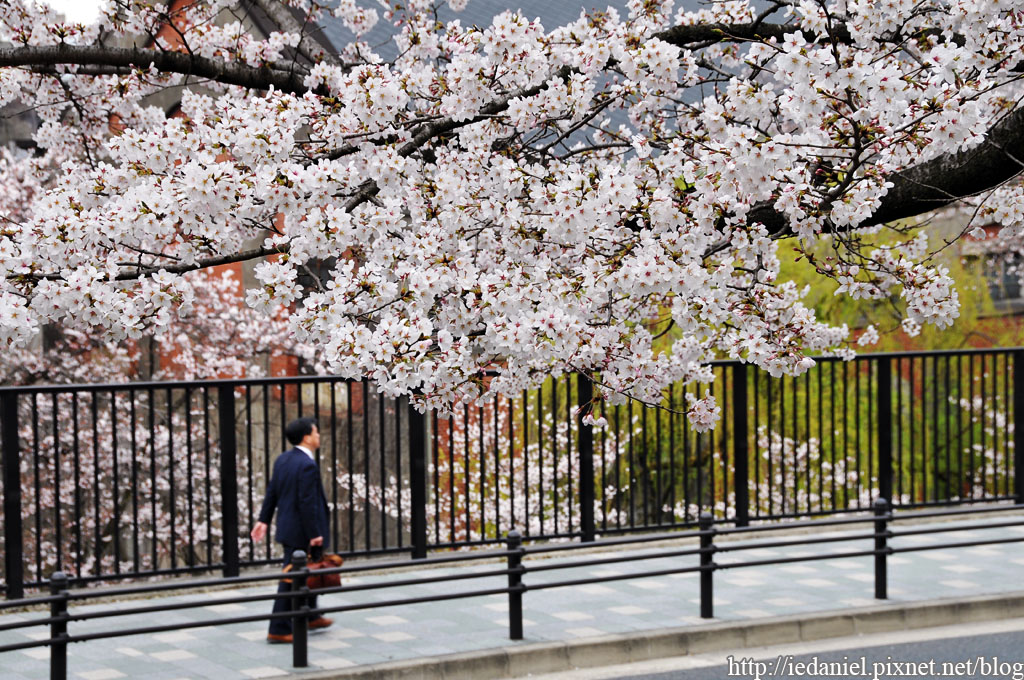 DSC_2779.jpg DSC_2779.jpg