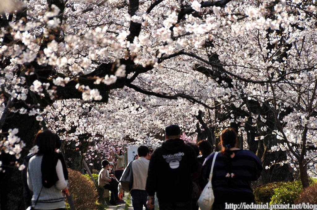 DSC_2572.jpg DSC_2572.jpg