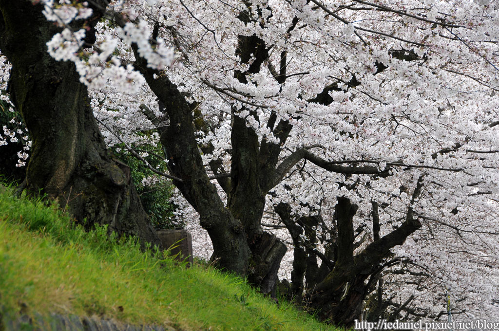 DSC_2841.jpg DSC_2841.jpg