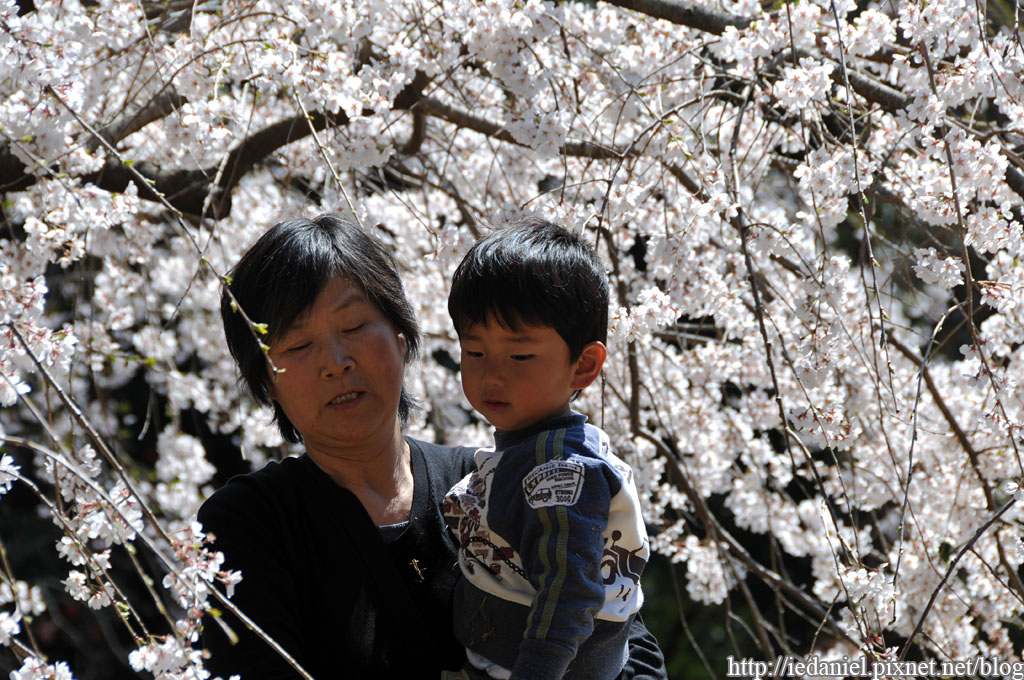 DSC_2006.jpg DSC_2006.jpg