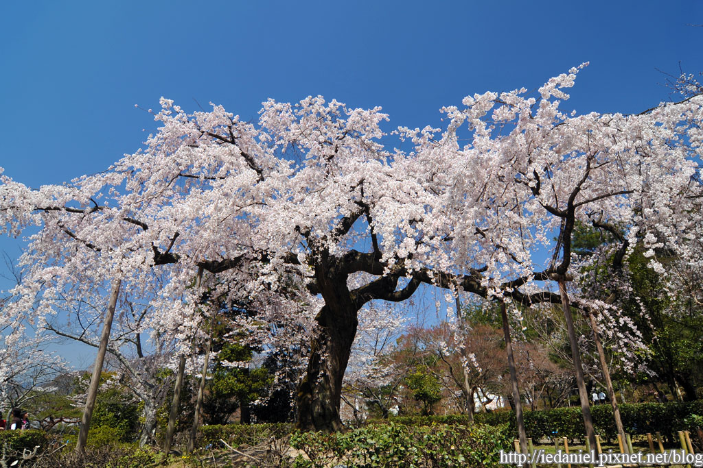 DSC_2425.jpg DSC_2425.jpg