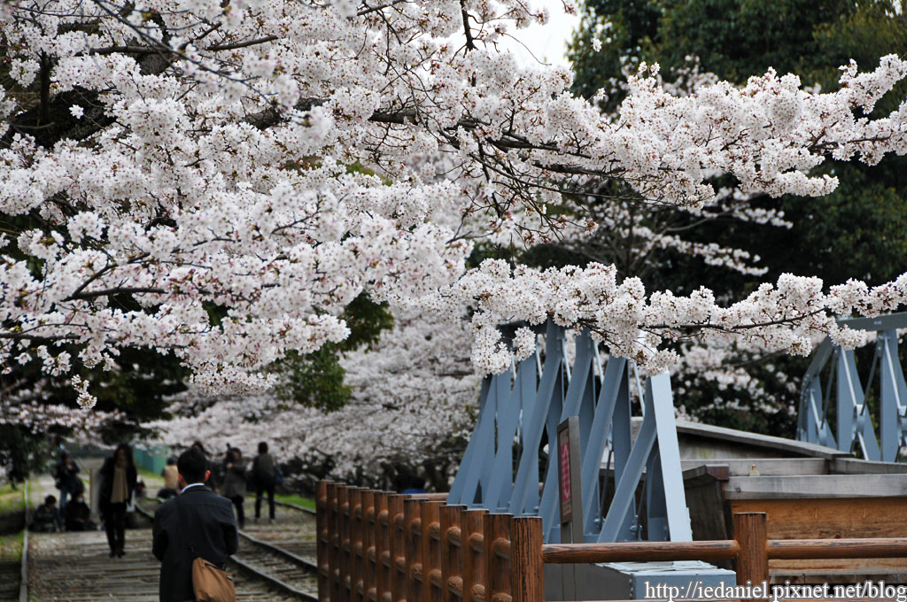 DSC_2730.jpg DSC_2730.jpg