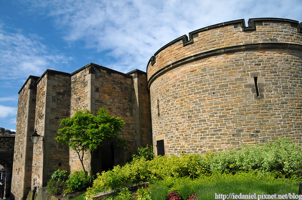 DSC_8738.jpg DSC_8738.jpg