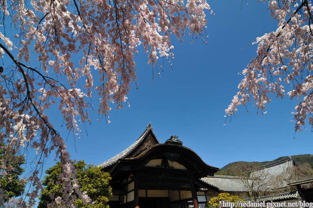 DSC_1481.jpg DSC_1481.jpg