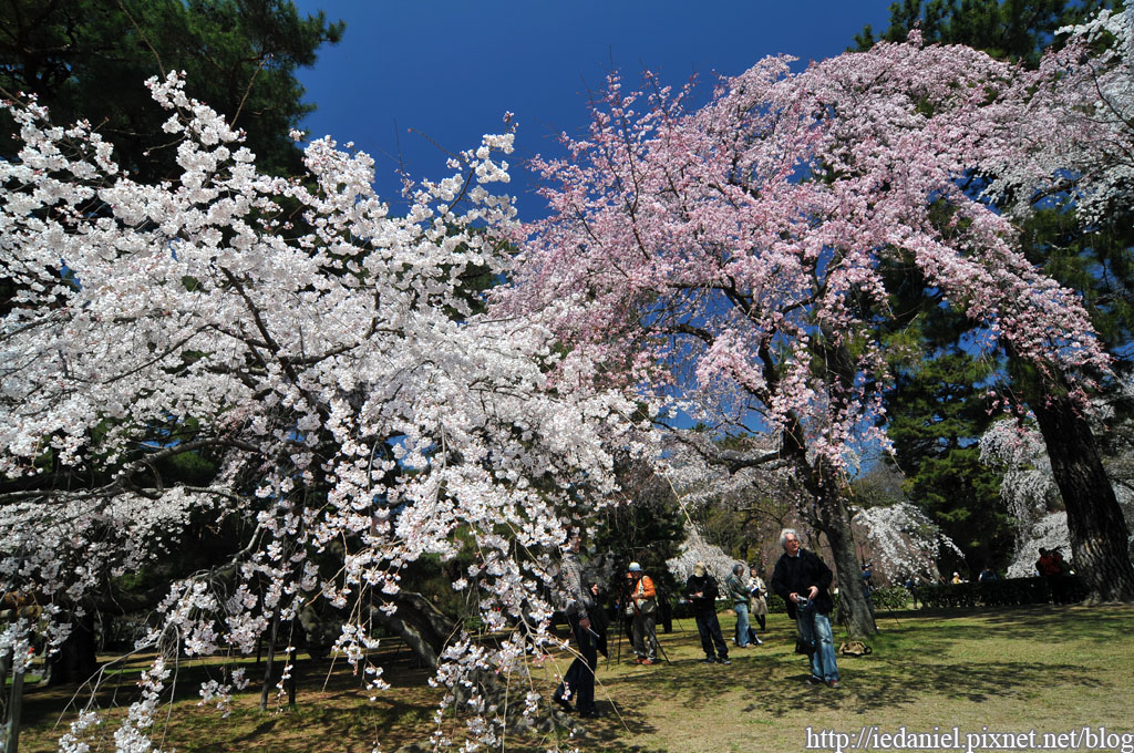 DSC_1949.jpg DSC_1949.jpg