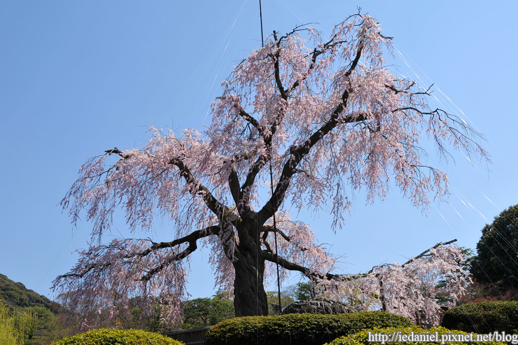 DSC_2525.jpg DSC_2525.jpg