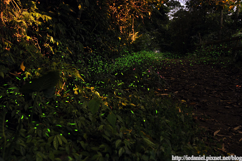 DSC_3295.jpg DSC_3295.jpg