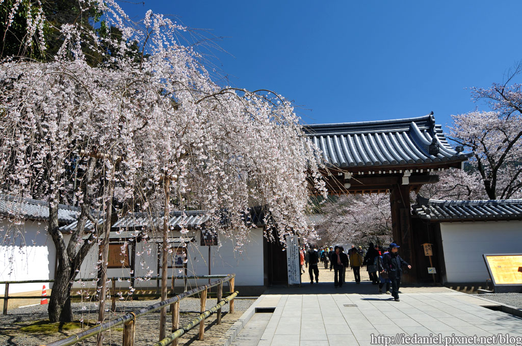 DSC_1450.jpg DSC_1450.jpg